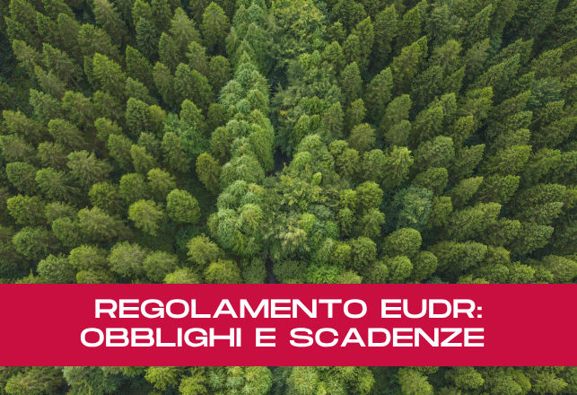 Regolamento EUDR